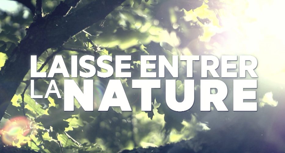 Laisse entrer la nature